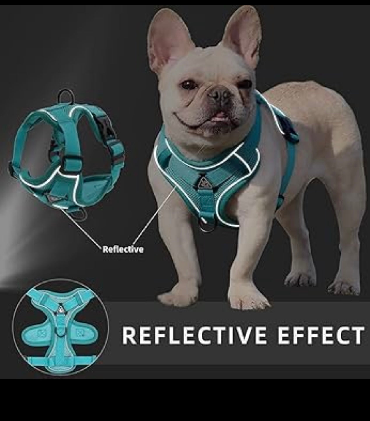 No-Pull Hundegeschirr – Bequem, Verstellbar & Reflektierend