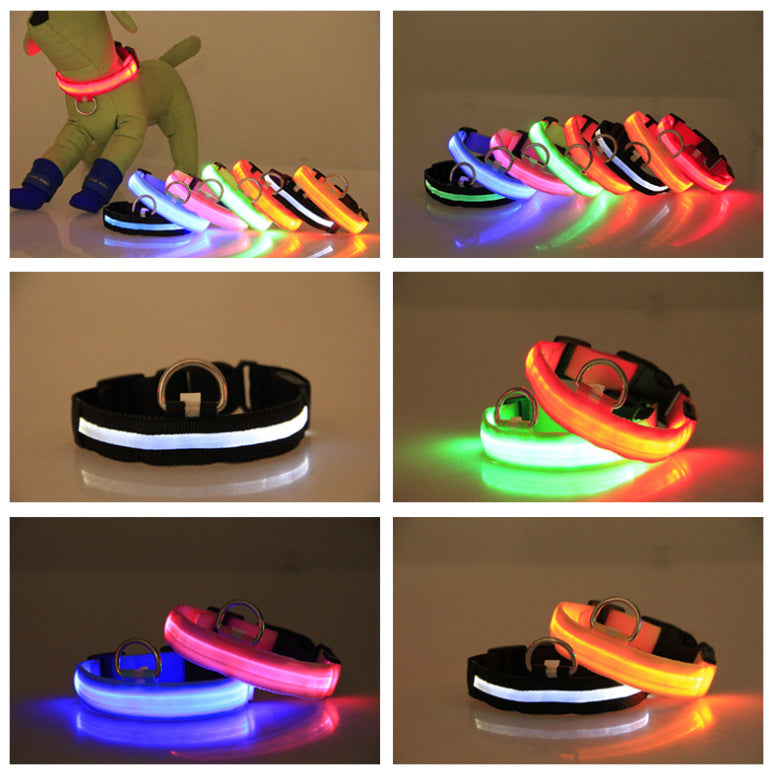 LED Hundehalsband – Wiederaufladbar, Wasserdicht & Super Hell