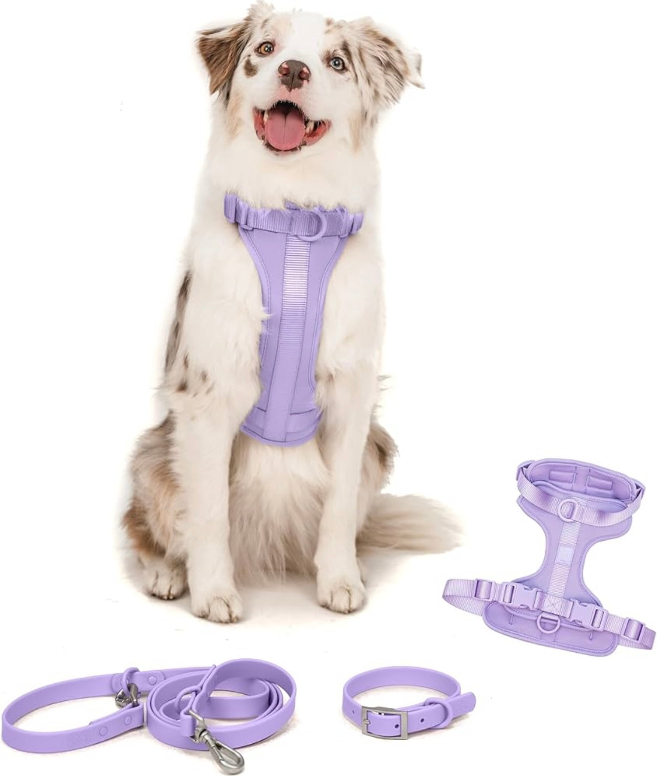 Hundeleine – Robust, Reflektierend & Verstell