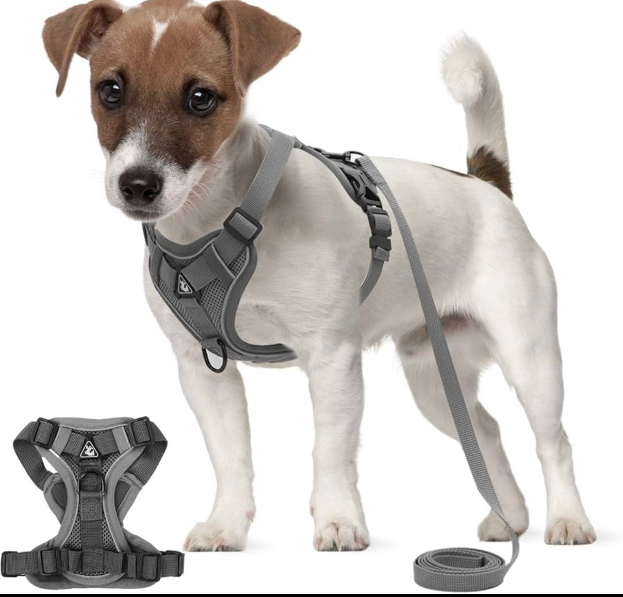 No-Pull Hundegeschirr – Bequem, Verstellbar & Reflektierend